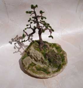 Souvenir – diorama, mini tree, bonsai No 01